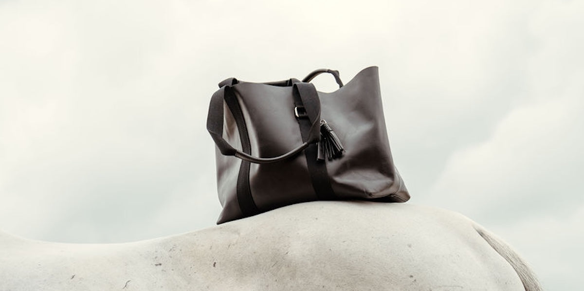 Collections – Get the Gallop