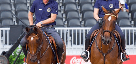 BROWBANDS AT WEG TRYON