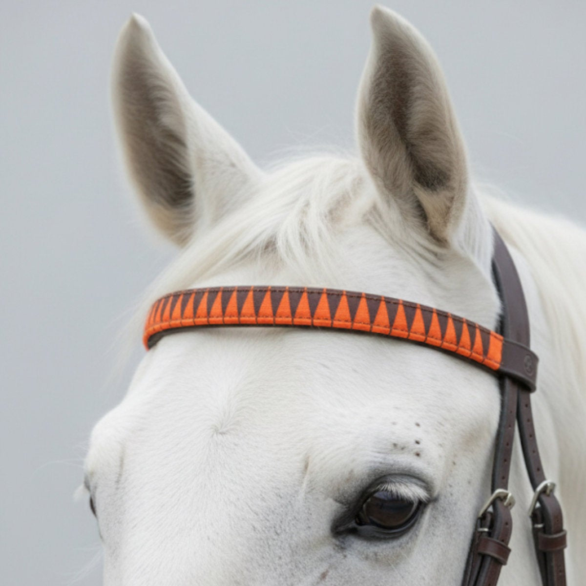 Get-the-Gallop-Browband-Orange-Brown-Horse.jpg