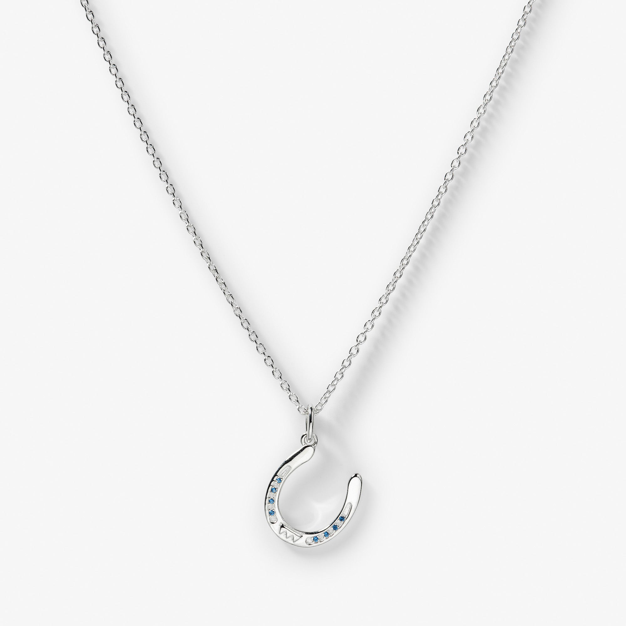 GetTheGallop_horseshoe_necklace_silver_blue_stones.jpg