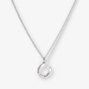 Lucky Horseshoe Necklace - Silver & Pink stones