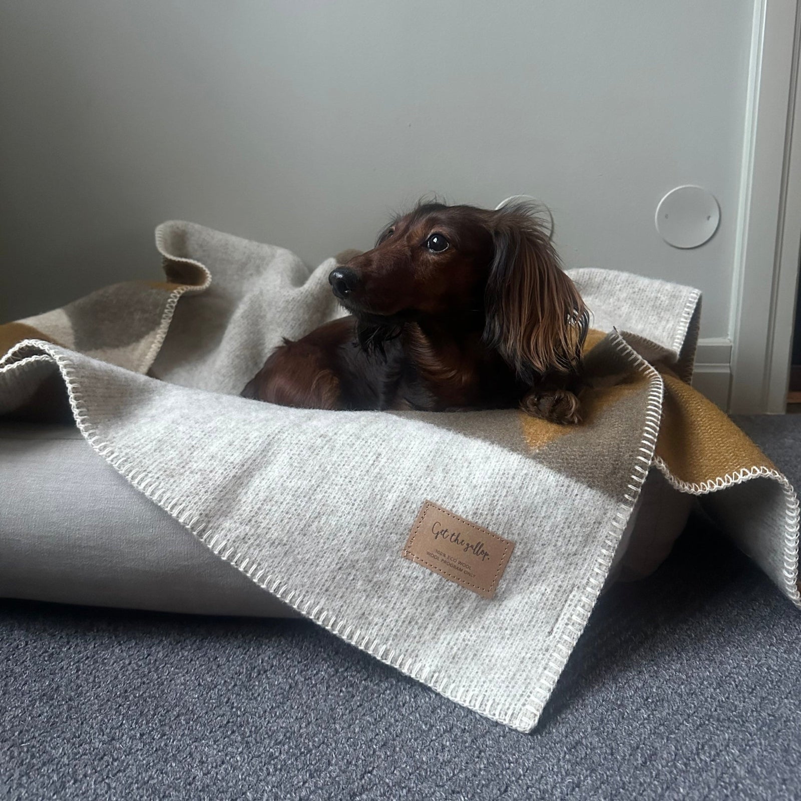 Sharktooth Ullfilt Liten 90x130 - Fox