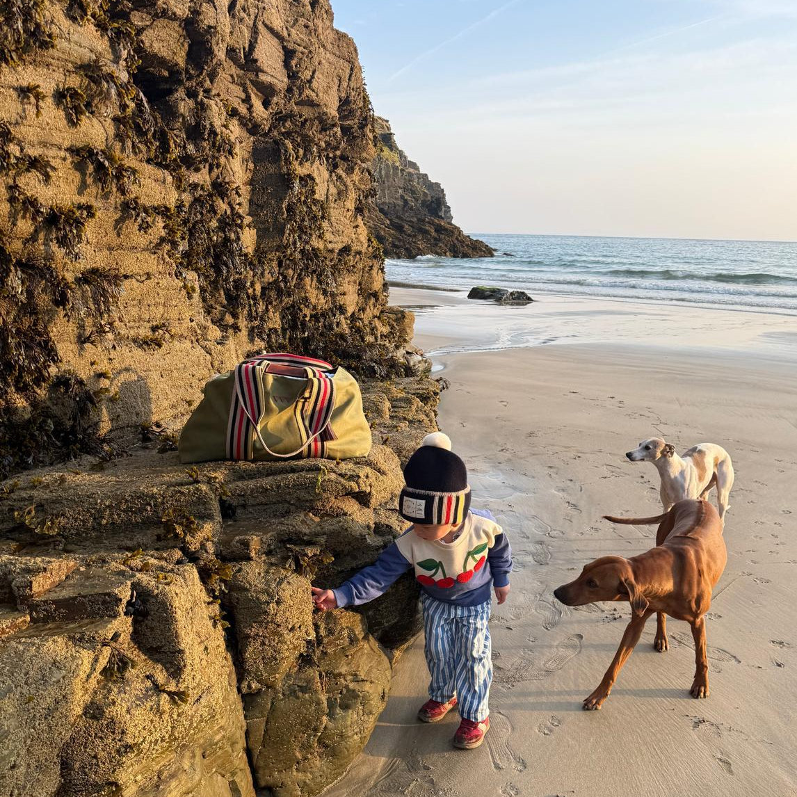 GettheGallop_Iggywick_CallieColes_Green_HayBag_beach.jpg