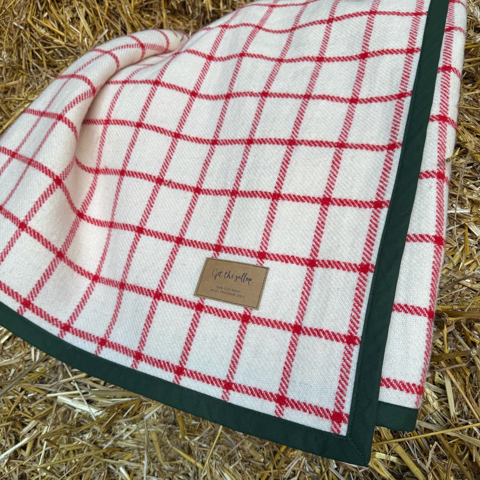 Checked Wool Blanket - Off-white / Red