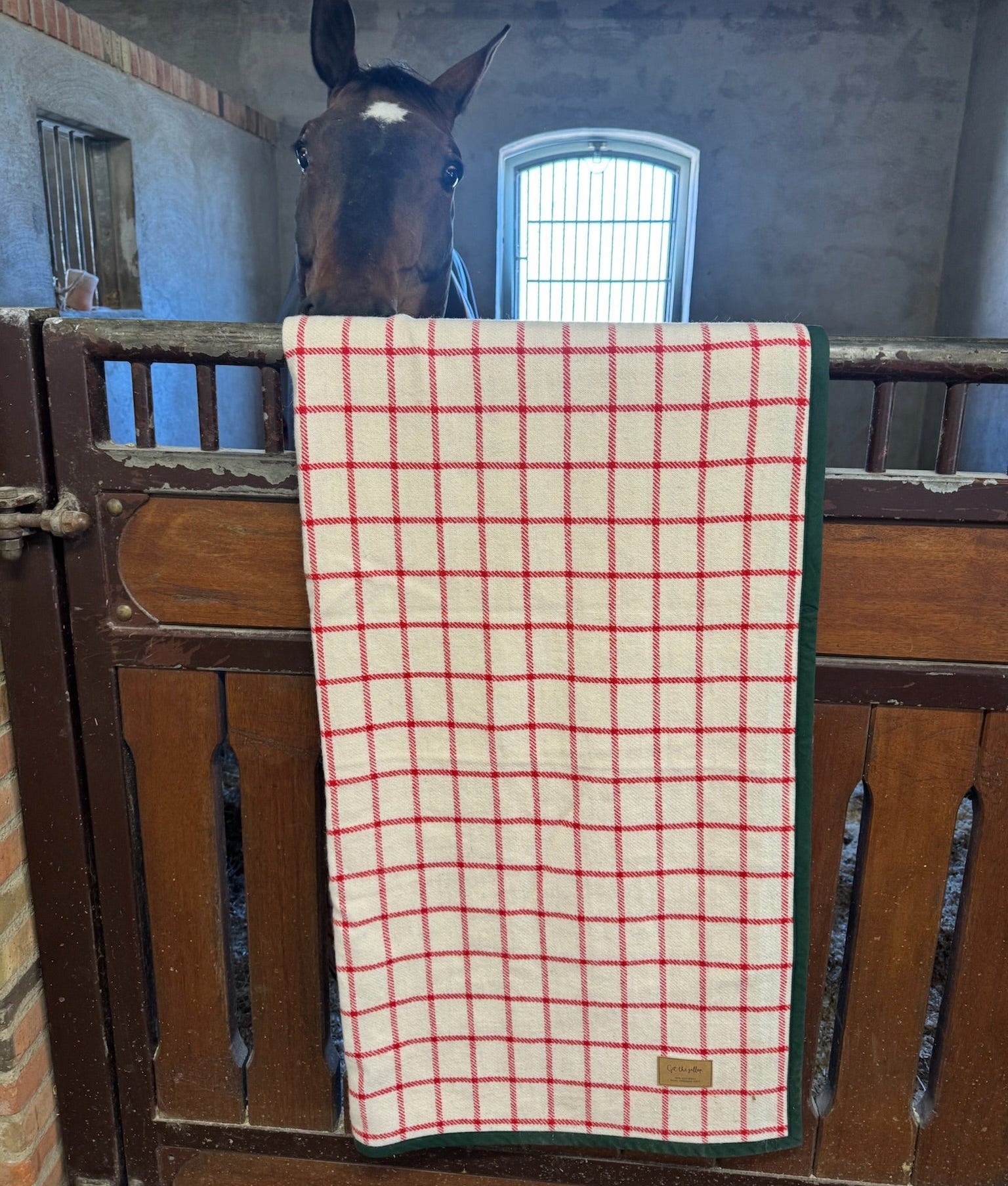 Checked Wool Blanket - Off-white / Red
