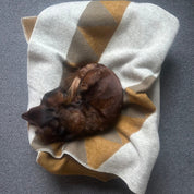 Sharktooth Ullfilt Liten 90x130 - Fox