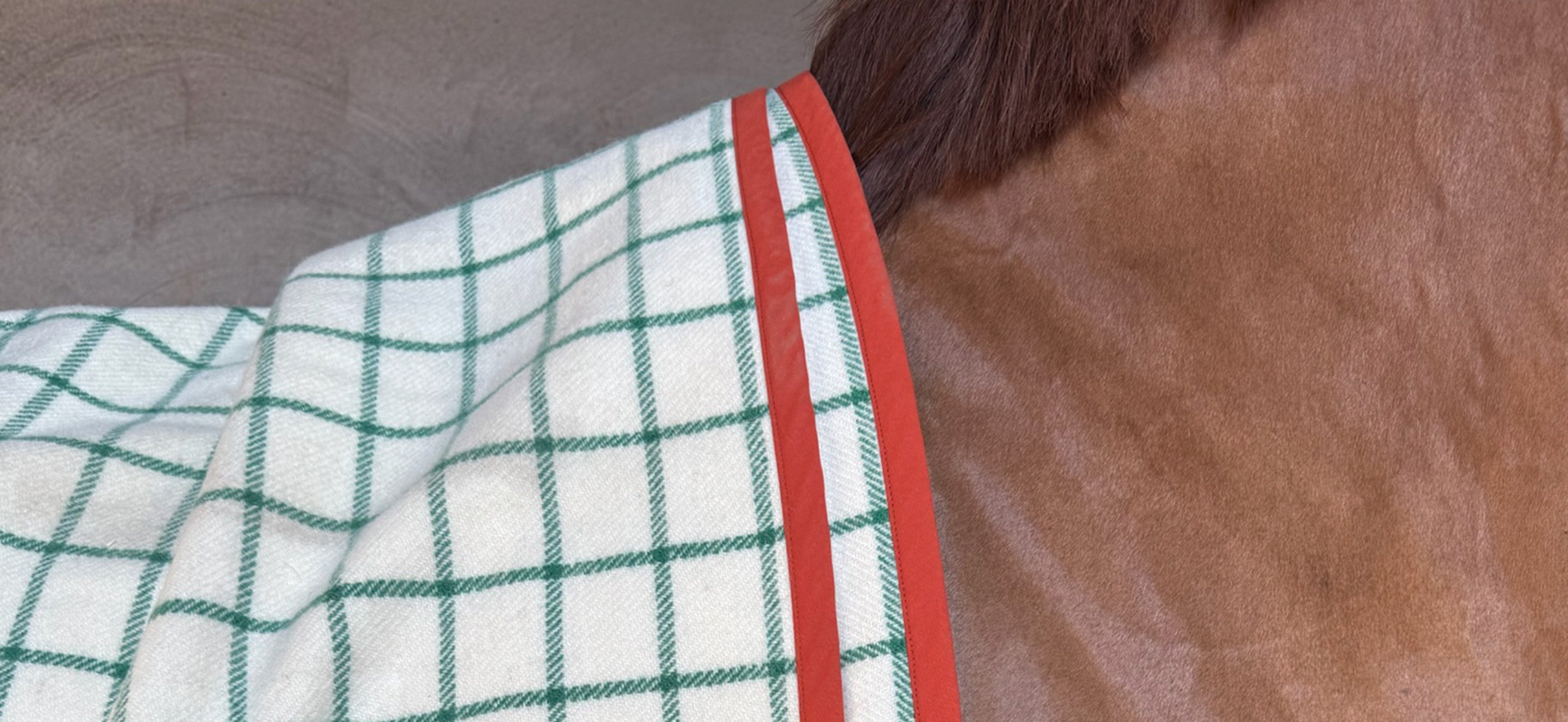 Getthegallop_blanket.jpg