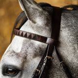 Sharktooth Häst Pannband Läder Mocka Brunt