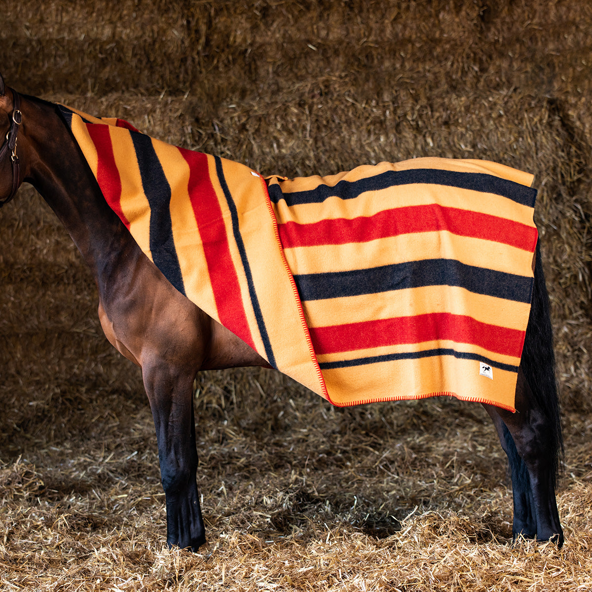 Newmarket Wool Horse Blanket
